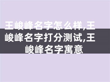 王峻峰名字怎么样,王峻峰名字打分测试,王峻峰名字寓意