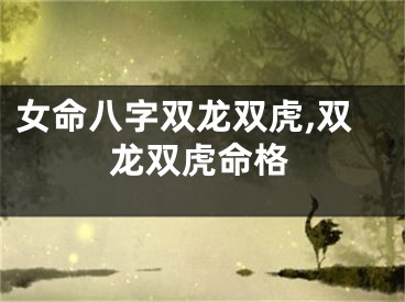 女命八字双龙双虎,双龙双虎命格