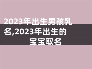 2023年出生男孩乳名,2023年出生的宝宝取名