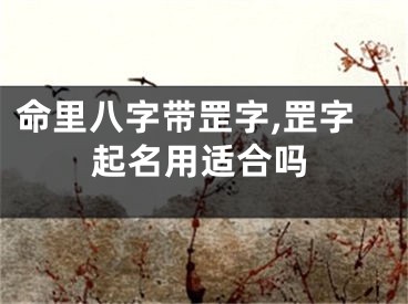 命里八字带罡字,罡字起名用适合吗