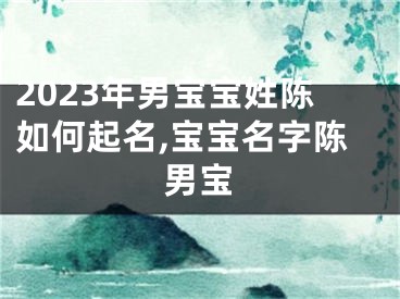 2023年男宝宝姓陈如何起名,宝宝名字陈男宝