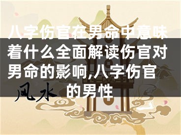 八字伤官在男命中意味着什么全面解读伤官对男命的影响,八字伤官的男性