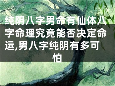 纯阴八字男命有仙体八字命理究竟能否决定命运,男八字纯阴有多可怕