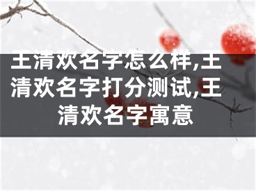 王清欢名字怎么样,王清欢名字打分测试,王清欢名字寓意