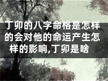 丁卯的八字命格是怎样的会对他的命运产生怎样的影响,丁卯是啥