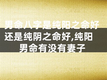 男命八字是纯阳之命好还是纯阴之命好,纯阳男命有没有妻子