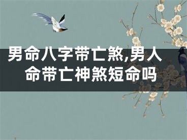 男命八字带亡煞,男人命带亡神煞短命吗