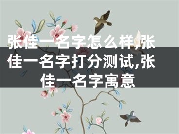 张佳一名字怎么样,张佳一名字打分测试,张佳一名字寓意