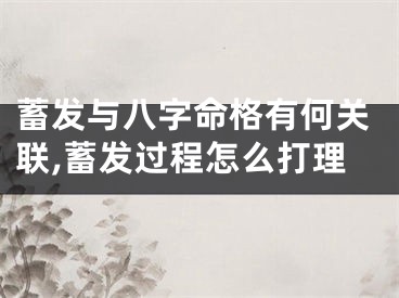 蓄发与八字命格有何关联,蓄发过程怎么打理