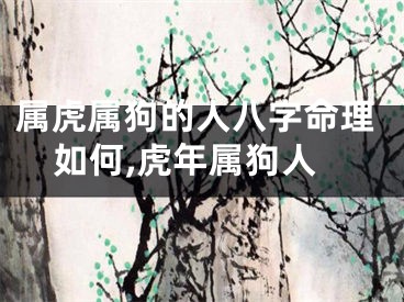 属虎属狗的人八字命理如何,虎年属狗人