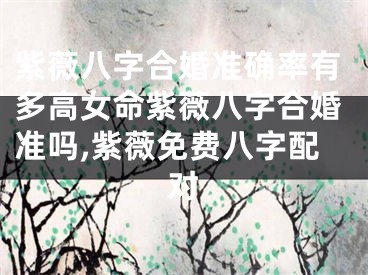 紫薇八字合婚准确率有多高女命紫薇八字合婚准吗,紫薇免费八字配对