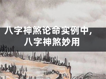 八字神煞论命实例中,八字神煞妙用