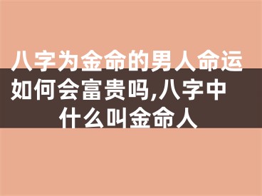 八字为金命的男人命运如何会富贵吗,八字中什么叫金命人