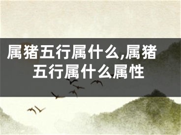 属猪五行属什么,属猪五行属什么属性