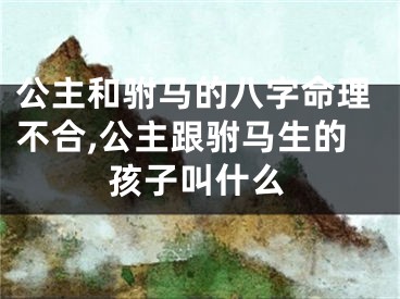 公主和驸马的八字命理不合,公主跟驸马生的孩子叫什么