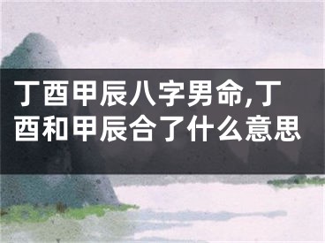 丁酉甲辰八字男命,丁酉和甲辰合了什么意思