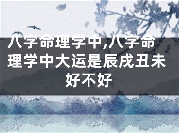 八字命理学中,八字命理学中大运是辰戌丑未好不好