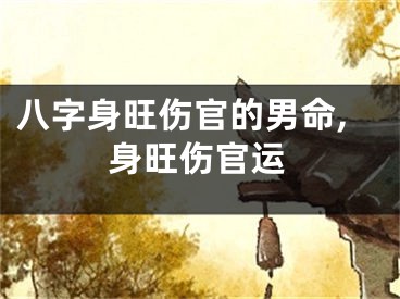 八字身旺伤官的男命,身旺伤官运
