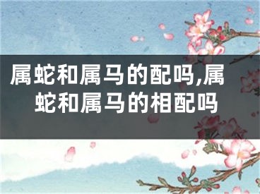 属蛇和属马的配吗,属蛇和属马的相配吗