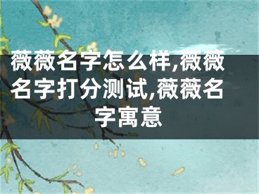 薇薇名字怎么样,薇薇名字打分测试,薇薇名字寓意