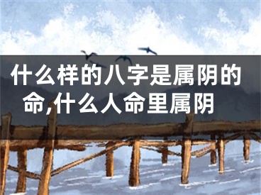什么样的八字是属阴的命,什么人命里属阴