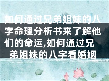 如何通过兄弟姐妹的八字命理分析书来了解他们的命运,如何通过兄弟姐妹的八字看婚姻