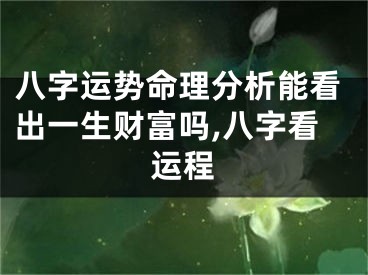 八字运势命理分析能看出一生财富吗,八字看运程