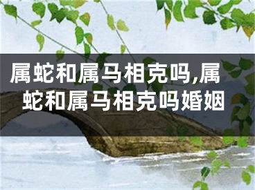属蛇和属马相克吗,属蛇和属马相克吗婚姻