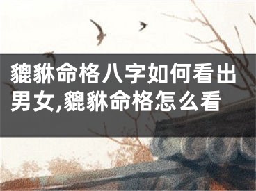 貔貅命格八字如何看出男女,貔貅命格怎么看