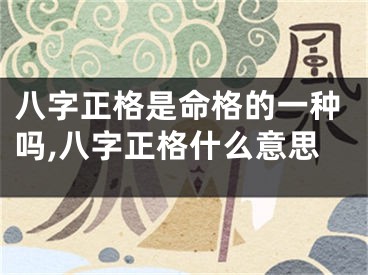 八字正格是命格的一种吗,八字正格什么意思