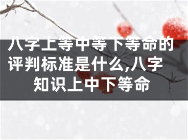 八字上等中等下等命的评判标准是什么,八字知识上中下等命