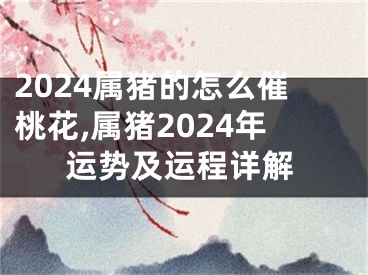2024属猪的怎么催桃花,属猪2024年运势及运程详解