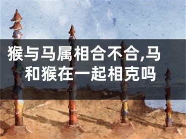 猴与马属相合不合,马和猴在一起相克吗