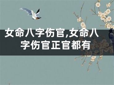 女命八字伤官,女命八字伤官正官都有