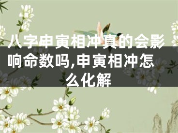 八字申寅相冲真的会影响命数吗,申寅相冲怎么化解