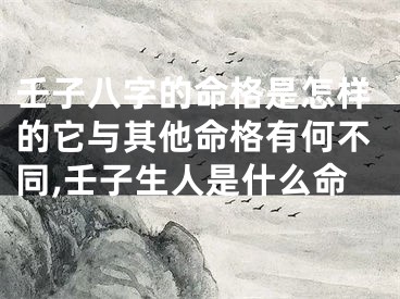 壬子八字的命格是怎样的它与其他命格有何不同,壬子生人是什么命