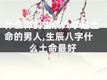 什么样的生辰八字是土命的男人,生辰八字什么土命最好