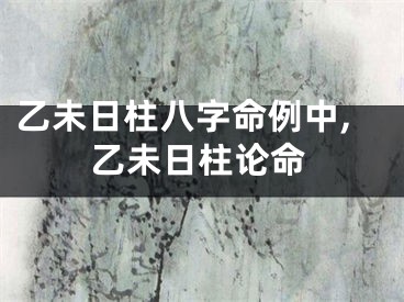 乙未日柱八字命例中,乙未日柱论命