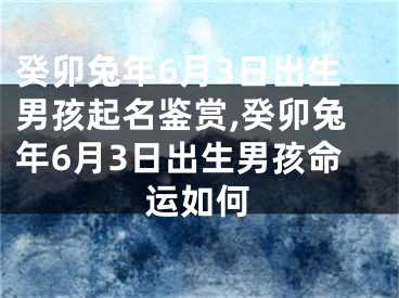 癸卯兔年6月3日出生男孩起名鉴赏,癸卯兔年6月3日出生男孩命运如何
