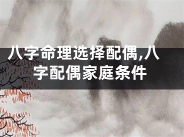 八字命理选择配偶,八字配偶家庭条件