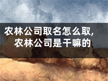 农林公司取名怎么取,农林公司是干嘛的