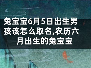兔宝宝6月5日出生男孩该怎么取名,农历六月出生的兔宝宝
