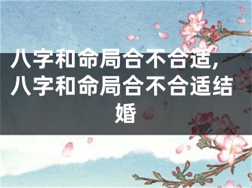 八字和命局合不合适,八字和命局合不合适结婚