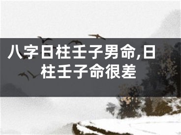八字日柱壬子男命,日柱壬子命很差