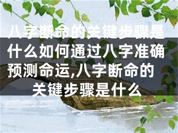 八字断命的关键步骤是什么如何通过八字准确预测命运,八字断命的关键步骤是什么