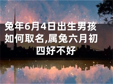 兔年6月4日出生男孩如何取名,属兔六月初四好不好