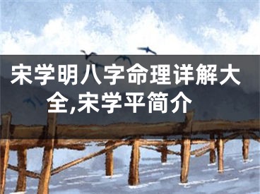 宋学明八字命理详解大全,宋学平简介