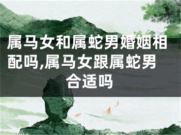 属马女和属蛇男婚姻相配吗,属马女跟属蛇男合适吗