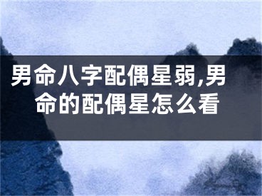 男命八字配偶星弱,男命的配偶星怎么看