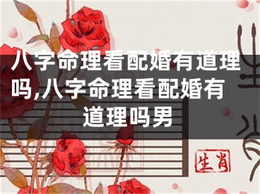 八字命理看配婚有道理吗,八字命理看配婚有道理吗男